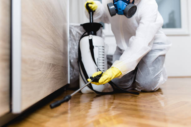 Best Rat Extermination Near Me  in Chester, PA