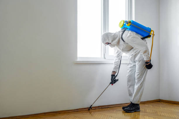 Best Pest Removal Services  in Chester, PA