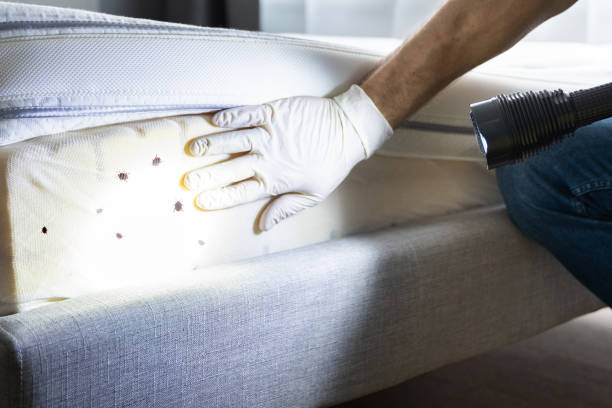 Best Commercial Pest Control Services  in Chester, PA
